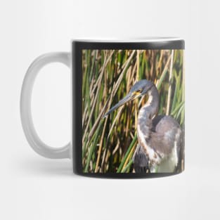 Tricolored Heron in Florida Wetlands Mug